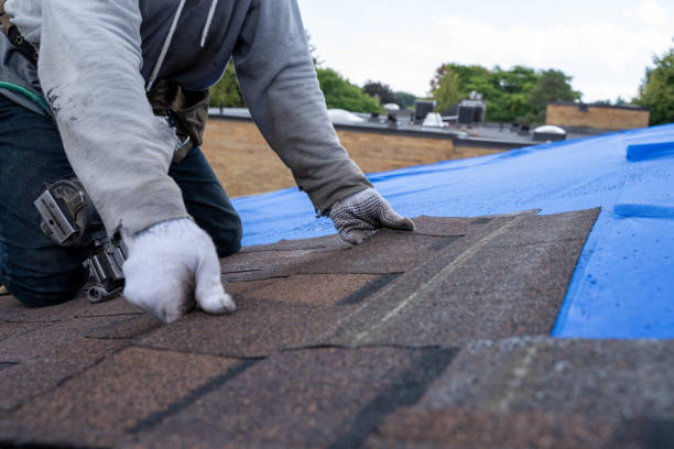 Best Roof Maintenance Services  in Interlaken, CA
