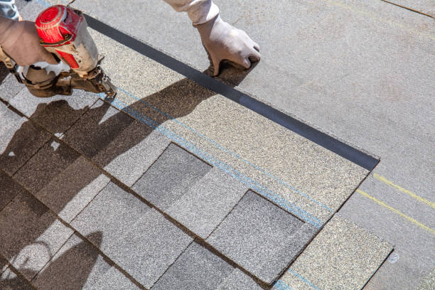 Best Roof Gutter Cleaning  in Interlaken, CA